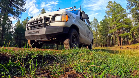 Reconnecting with Nature: My Solo Woodland Van Life