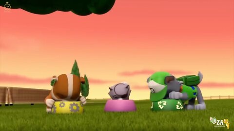 PAW Patrol Cartoons