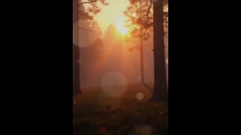 सुबह की एक दुआ जो शैतान से बचाती है | Rasool ﷺ की सिखाई हिफ़ाज़त की दुआ