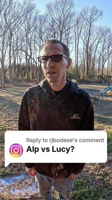 Q&A: Alp VS Lucy Nicotine Pouches