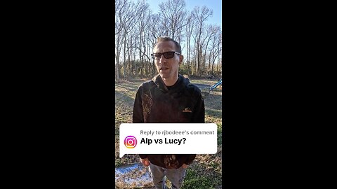 Q&A: Alp VS Lucy Nicotine Pouches
