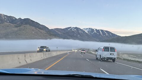 Friday commute to work!