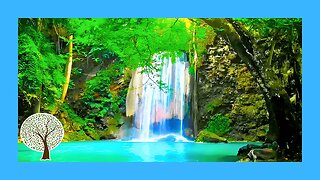 The BEST Way to Improve Your Well-Being | Relaxing Piano Music with Water Sounds 🎹 Relaxing Music