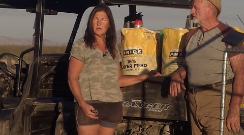 Growing in the Desert: Compost, Plants & Perfect Weather!