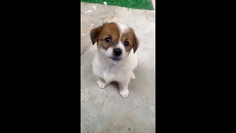 What do you want handsome?