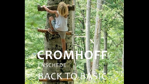 De kap van het Cromhoff Bos