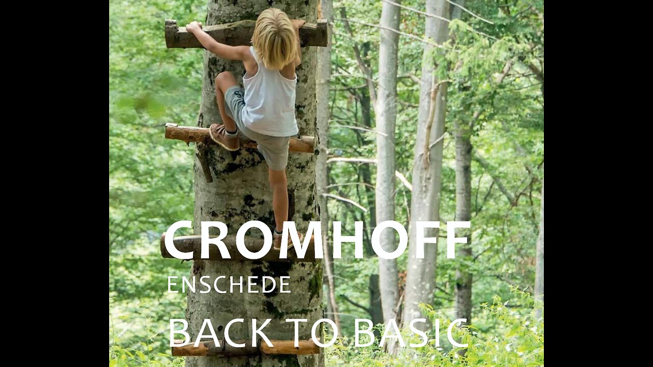 De kap van het Cromhoff Bos