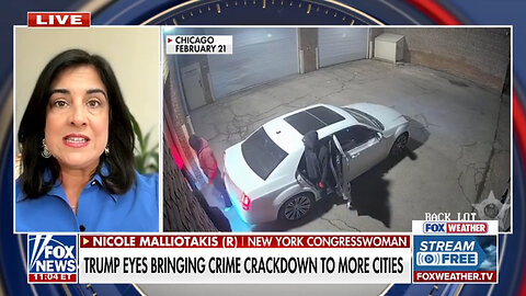 Rep. Malliotakis urges Democrats to ‘work with Trump’ on stopping crime in cities