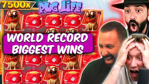 PUG LIFE WORLD RECORD BIGGEST WINS: Top 4 (Roshtein, Spinlife)
