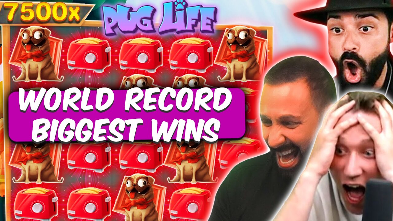 PUG LIFE WORLD RECORD BIGGEST WINS: Top 4 (Roshtein, Spinlife)