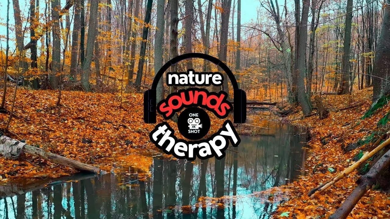 Oasis of Calm 4K; True Harmony of Stream