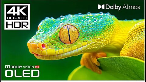 BEST OF Dolby Atmos - Incredible 4K 60FPS Video HDR - Dolby Vision