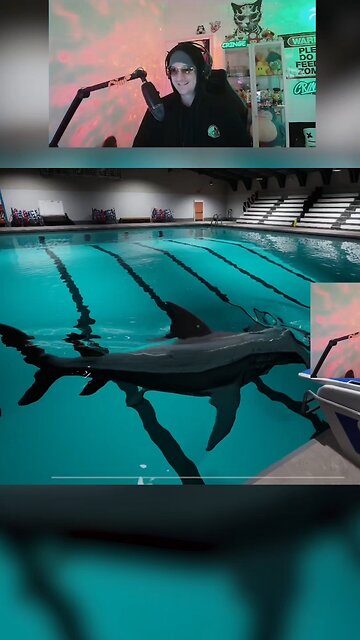 A SHARK IN THE POOL‼️🦈