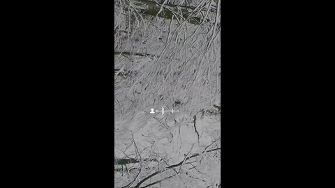 🔥 Surah Ar-Raḥmān 55:1–9 — سورة الرحمن ⚡🤍⚖️ #Quran #shorts #Viral #YouTubeShorts #love #trending