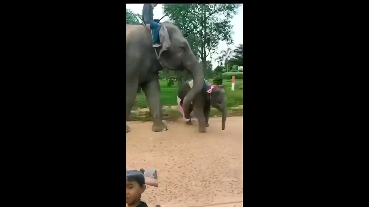 tamil video song