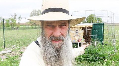 "Avoid This Major Beekeeping Scam: Essential Advice for Aspiring Apiarists"