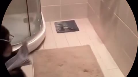 😂🐘 Oops! Elephant Takes a Spill! | FunFM