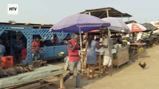 Elephant & African Wildlife #15 – Majestic Giants of Gabon