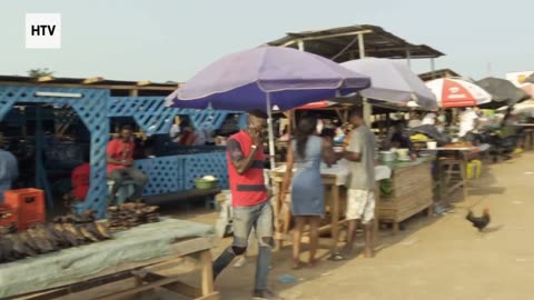 Elephant & African Wildlife #15 – Majestic Giants of Gabon