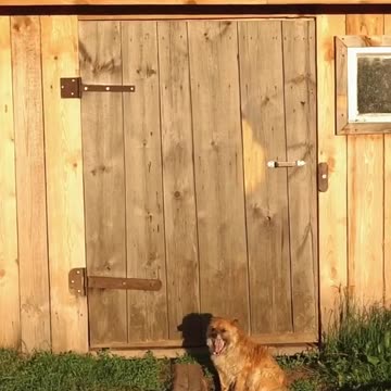 The aesthetics of an early summer morning.