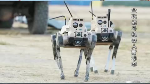 China Shows Off Armed Attack Robots