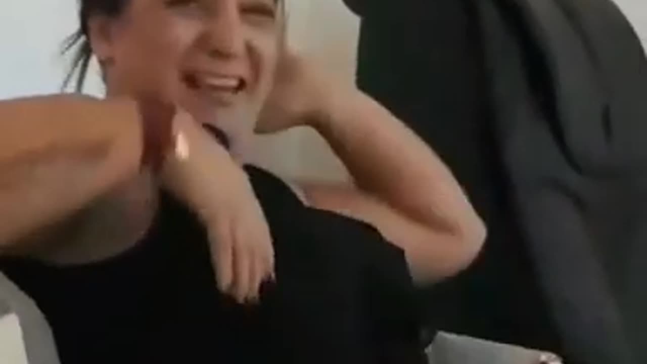 Funny Animal Videos