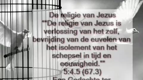 Religie van Jezus