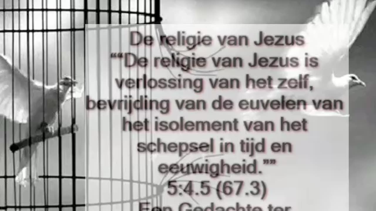 Religie van Jezus