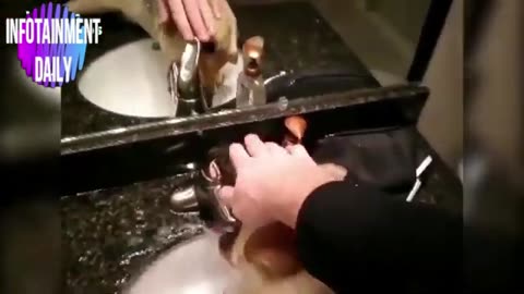 funny video
