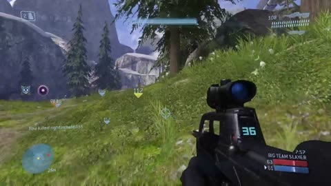 Halo 5 Live Stream