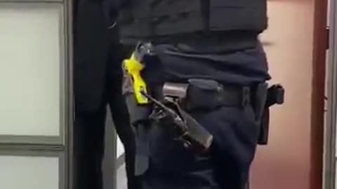 DHS handcuffs Dem Rep. Nadler's congressional staffer for allegedly harboring rioters
