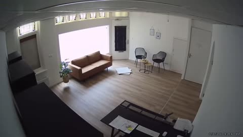 cat doesnt like your ceiling