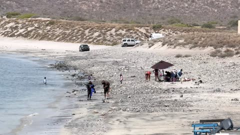 El Tapiz Genético de la Frontera Conexiones Milenarias entre ES