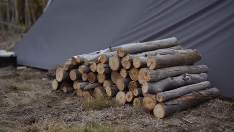 Solo Fall Bushcraft Overnight — Tarp Shelter, Bison Stroganoff & DIY Cooking