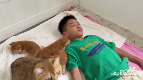 🤣🐱 The Kid Gets Massaged at the Kittens Spa! | FunFM