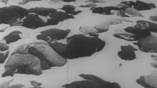 Watch Alex Jones Warn You About The New World Order Decades Ago in These Films
