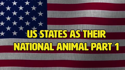 US STATES AS THEIR NATIONAL ANIMAL-PART1