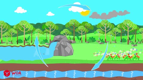 🐦 + More | 🔍 Wolfoo Explore - Animals | Kids' Educational Videos: Why Can Birds Fly?