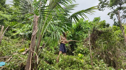 Men, BUILD EDEN instead of KILLING EACHOTHER. Preping Colonia Divina for fruit trees. New Toy. PH