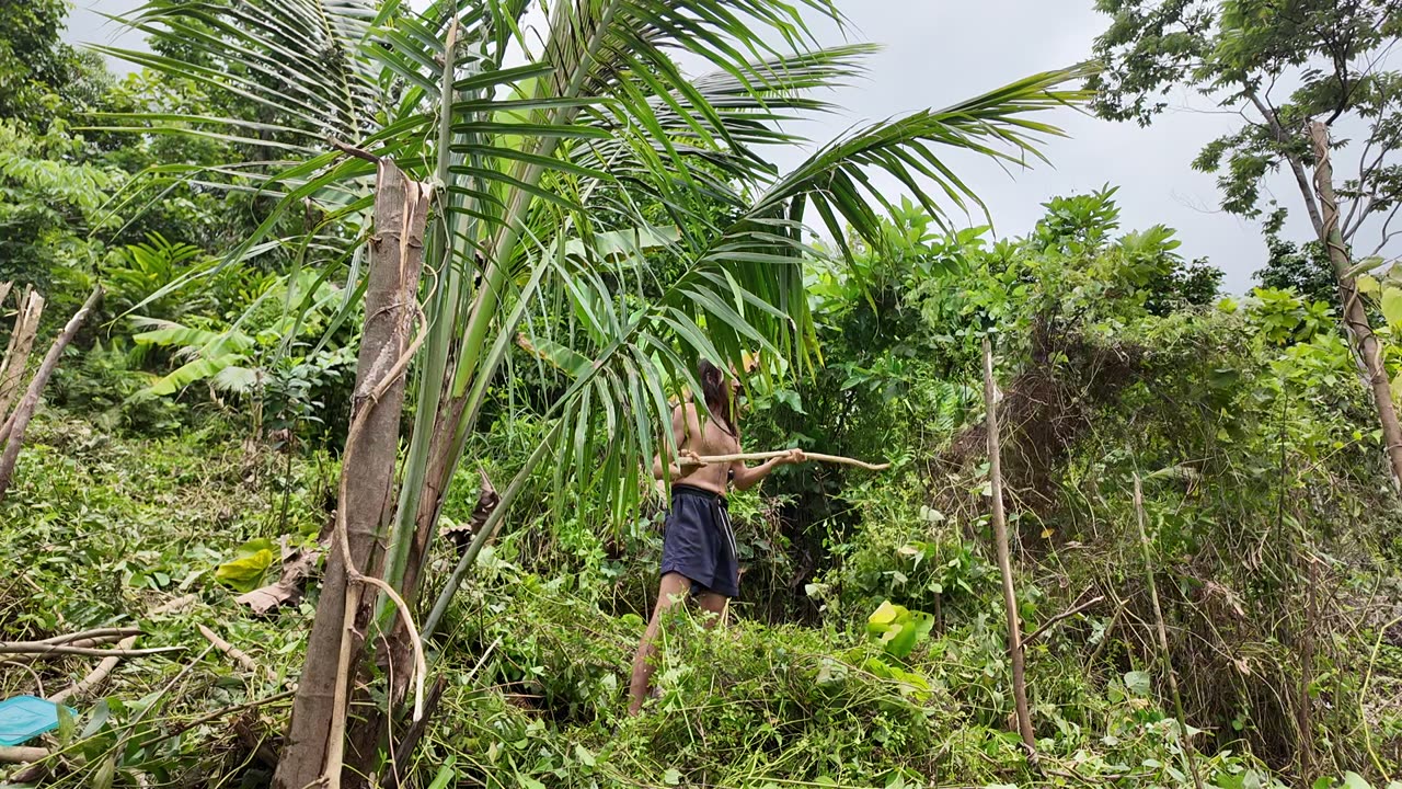 Men, BUILD EDEN instead of KILLING EACHOTHER. Preping Colonia Divina for fruit trees. New Toy. PH