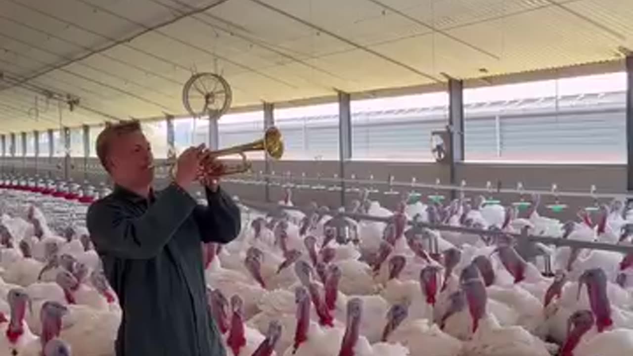 Turkey and it's owner happiness