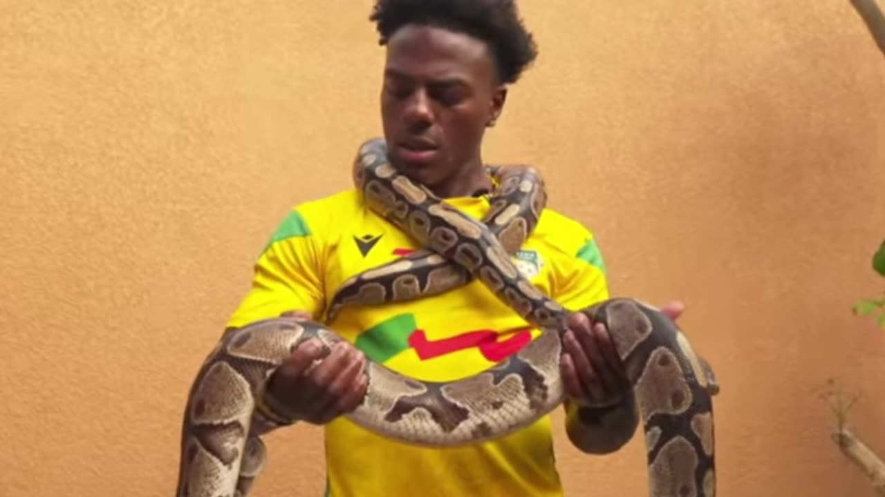 Speed ​​with snake