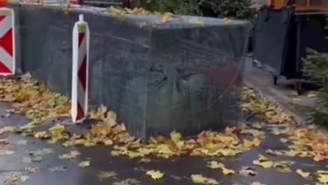 Christmas markets in Berlin. Danke Merkel.