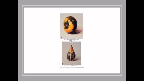 Agri Art 8 Squash Art