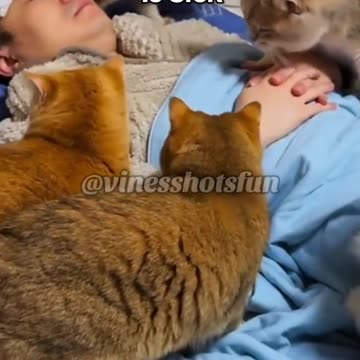 The boss is sick, all the cats are sad 🥺💔