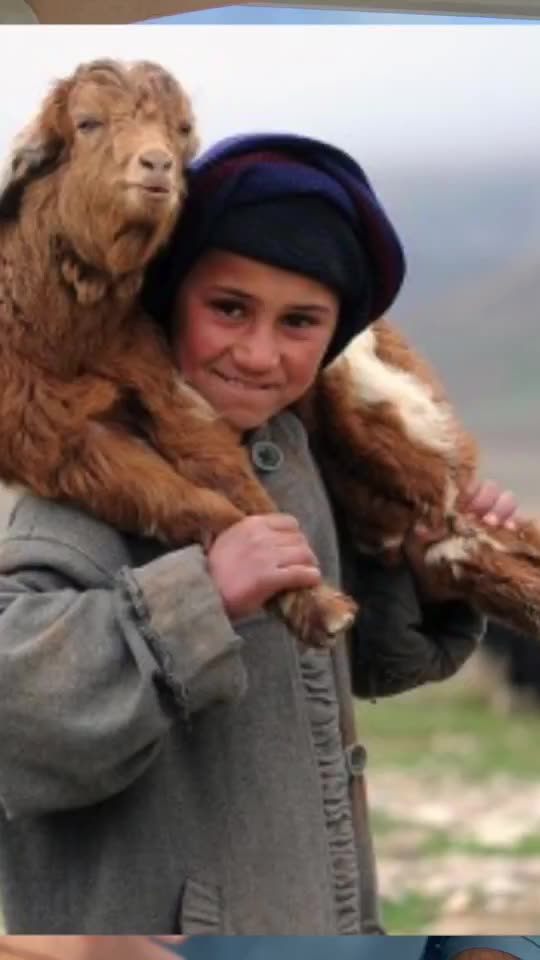 Yes, Its Time to Isolate Ourselves, Close the Borders, and Fix Our Problems at Home