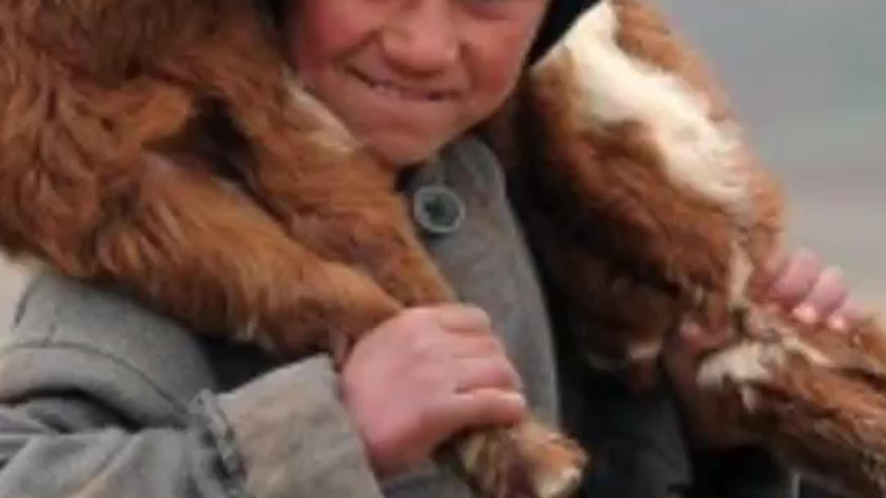 Yes, It's Time to Isolate Ourselves, Close the Borders, and Fix Our Problems at Home