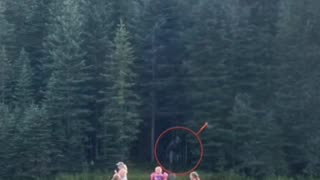 Did Bigfoot Cloak Itself in the Woods?