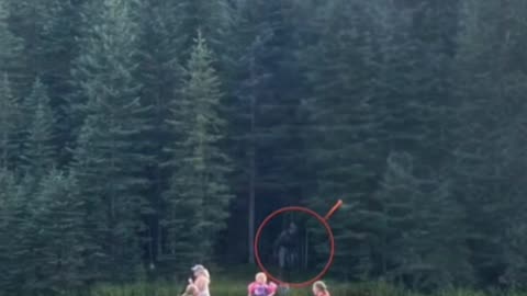 Did Bigfoot Cloak Itself in the Woods?