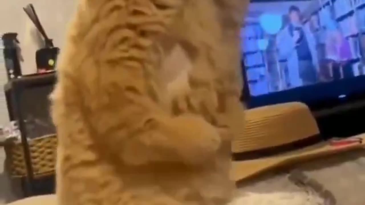 Some Magic